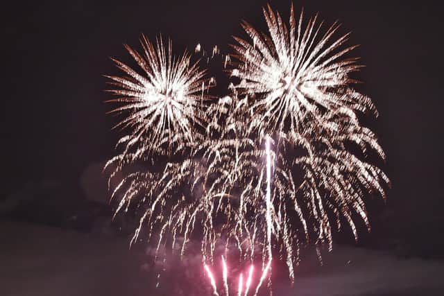 Cllr Fitzgerald has called for a change in the law regarding fireworks