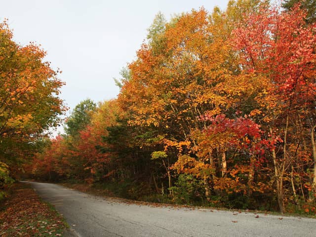 Temperatures in Peterborough are expected to be “near or above average” heading into early November