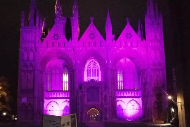 Peterborough Cathedral lit up for World Polio Day