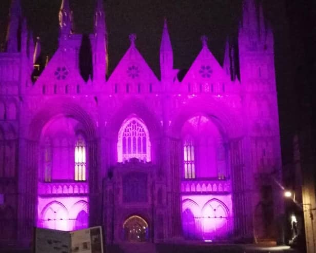 Peterborough Cathedral lit up for World Polio Day