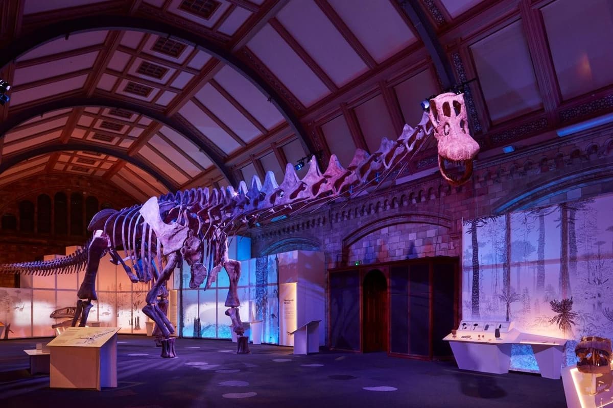 Giant dinosaur that towered over T-Rex set to arrive at Peterborough ...