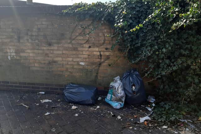 Anti-social behaviour and fly-tipping are getting worse, Cllr Ali believes