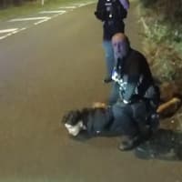 WATCH: Banned teenager driver arrested near A1 after Police Dog Ghost sniffs him out