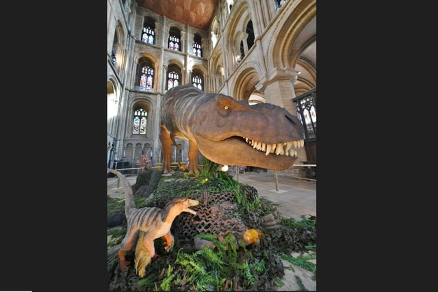 The exhibition asks- was T-Rex a ruthless predator or a scavenger?