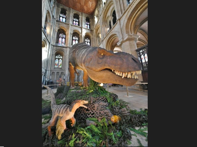 The exhibition asks- was T-Rex a ruthless predator or a scavenger?