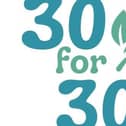 30 for 30 fund logo