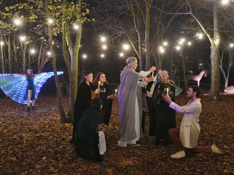 Nene Park Trust Winter Festival