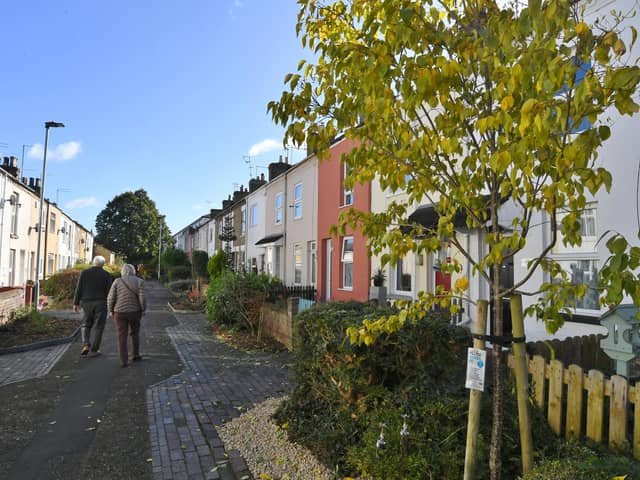 The gardens in  Tower Street, Woodston which  have been re-vamped  in memory of  former resident, councillor and Mayor Audrey Chalmers