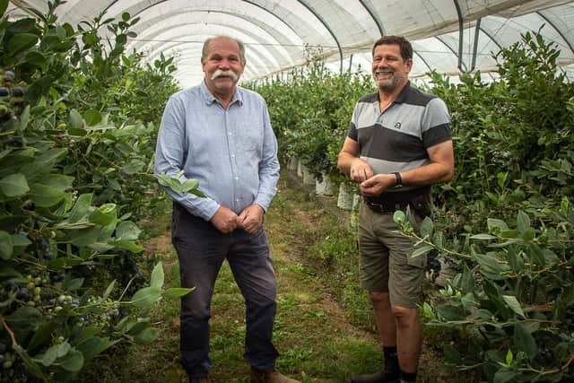 The owners of Lutton Farms, Stephen and James Long, who are the makers of England's only blueberry wines, and which have just won a trio of awards.
