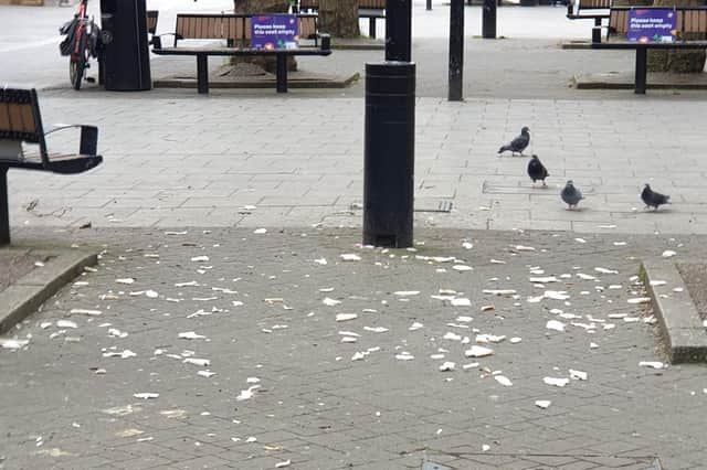 Pigeons in Bridge Street, Peterborough