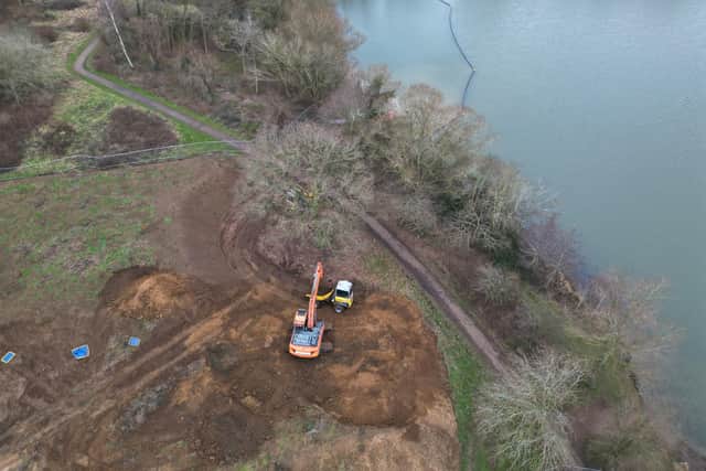 New reed beds at Gunwade Lake in Ferry Meadows.