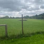 The dog walking fields at Grange Farm.