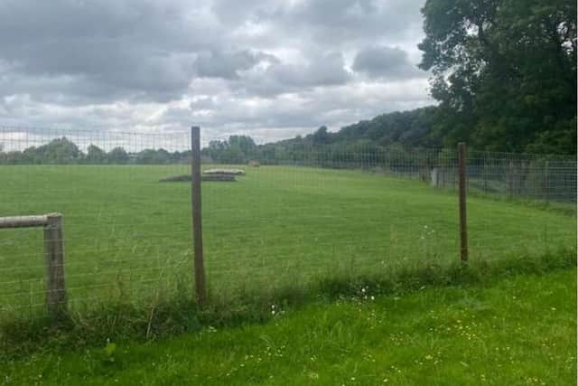 The dog walking fields at Grange Farm.