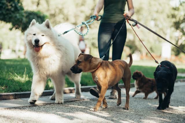 A new dog walking area has been planned.