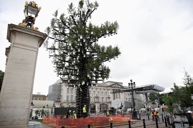 The Queen's Green Canopy 'Tree of Trees' sculpture. It consists of 350 native British trees planted in aluminium pots, which will be donated to community groups after the Jubilee celebrations. (Photo by Peter Nicholls - WPA Pool/Getty Images)
