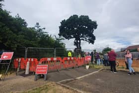 The council closed Blind Lane while the tree was being felled.