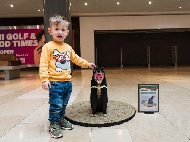 Queensgate brings Animal Paradise to Peterborough