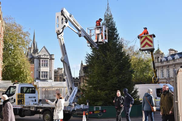 The tree arrived in the square this week