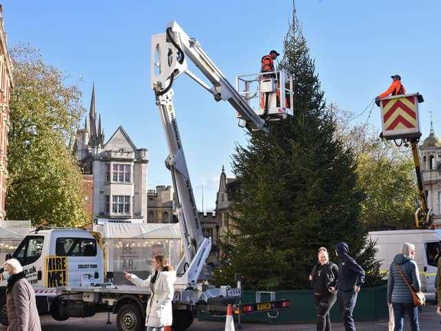 The tree arrived in the square this week