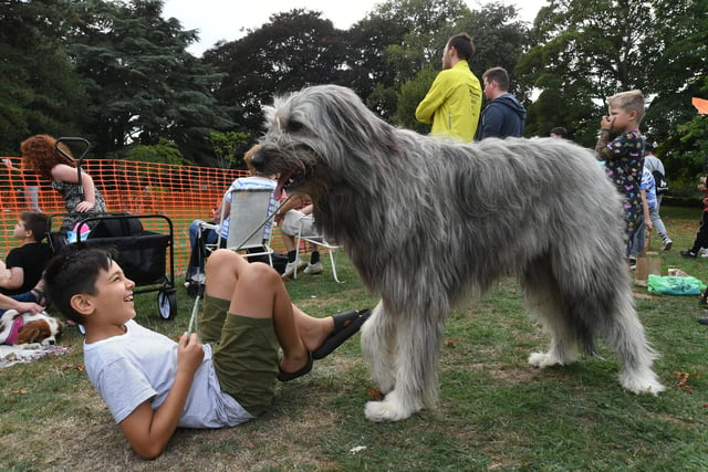  Central Park Fun Day dog show. Isaac Ismail with Hugo.