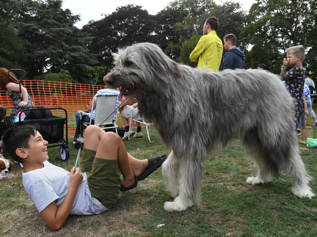  Central Park Fun Day dog show. Isaac Ismail with Hugo.