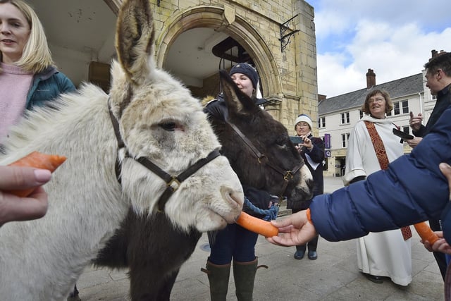 The two donkeys who led the procession