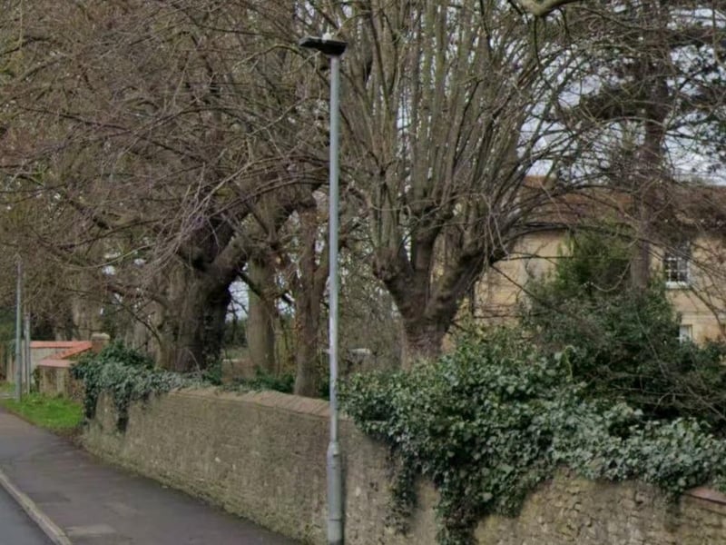 Part of Fletton Avenue will be closed on Sunday, May 7 for a street party
