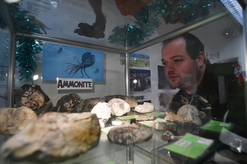 Jamie Jordan with some of the fossils at the centre