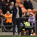 Blackpool boss Ian Evatt (Photo by Kate McShane/Getty Images).