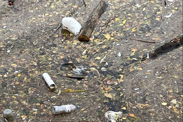 A dead bird on the Embankment.