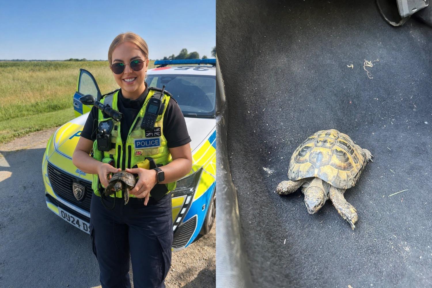 Cambridgeshire Police led on 'world's slowest foot chase' in the middle of ...