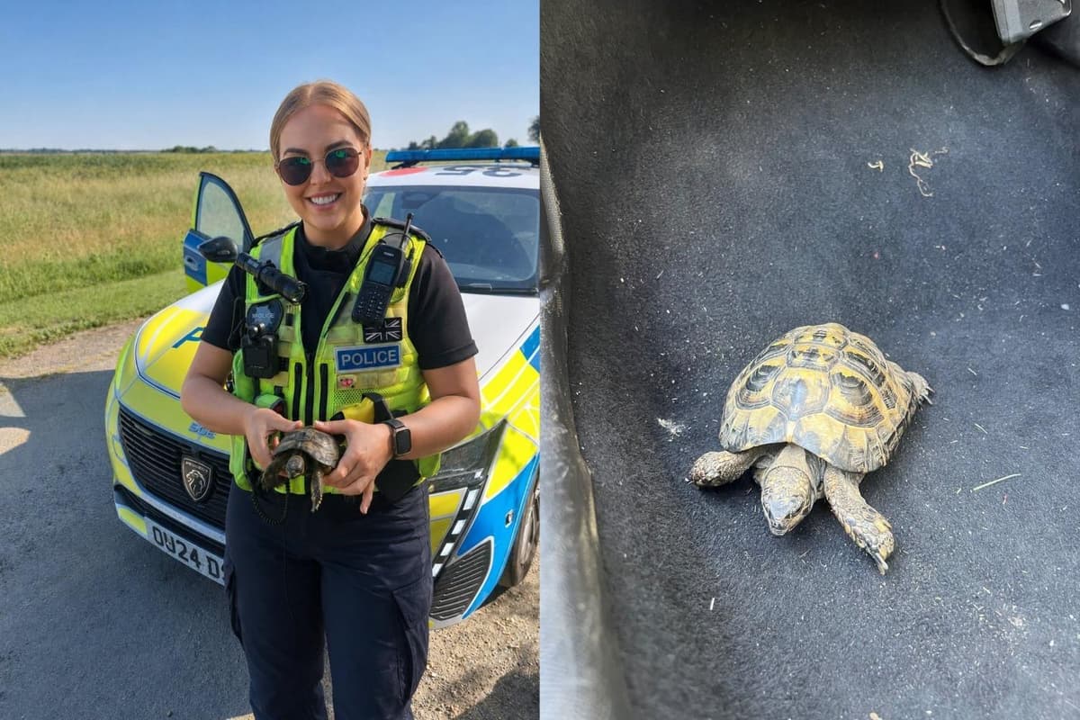 Cambridgeshire Police led on 'world's slowest foot chase' in the middle of ...