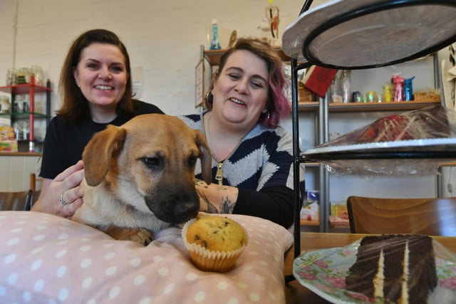The new Doggy Cafe at The Hub at Tenter Hill, Stanground. Abbi Goodwin and Clair Albone with Teddie