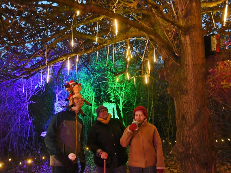 Nene Park Trust Winter Festival