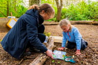 Half term fun at Ferry Meadows
