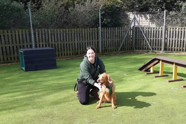 Along with underfloor heating in their kennels, the well looked after guests at 'The Dog House' get to play around and let off steam at 'The Astro' recreation ground.