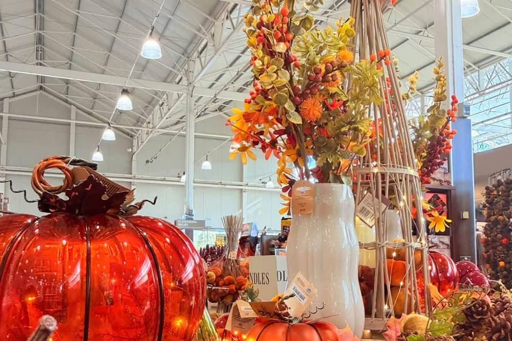 4/5 Google rating. A recent customer said: "Visited the Blue Diamond Garden Centre, its huge and its well stocked. Loved the different departments they have, from flowers, vases, cards, cushions and Christmas decorations. The staff members were friendly."