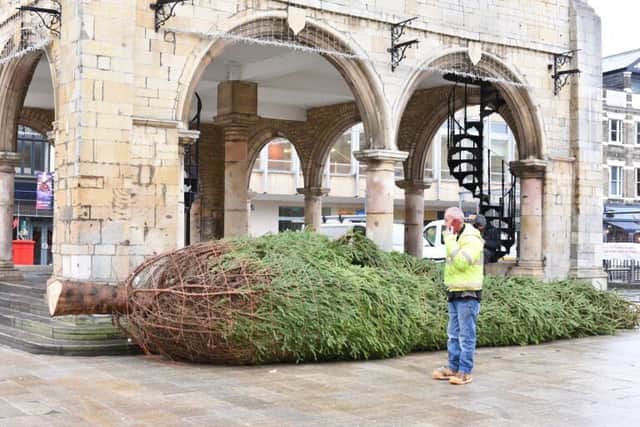 The tree arrived in Cathedral Square this morning