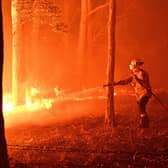 A firefighter hosing down trees and flying embers in an effort to secure nearby houses from bushfires near the town of Nowra in the Australian state of New South Wales in 2019.  (Photo by SAEED KHAN/AFP via Getty Images)