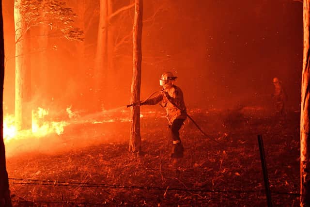 A firefighter hosing down trees and flying embers in an effort to secure nearby houses from bushfires near the town of Nowra in the Australian state of New South Wales in 2019. (Photo by SAEED KHAN/AFP via Getty Images)