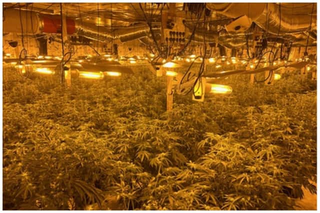 Police raided the factory on Thursday