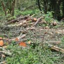 Wooded area at Gunthorpe Road, where trees have been felled