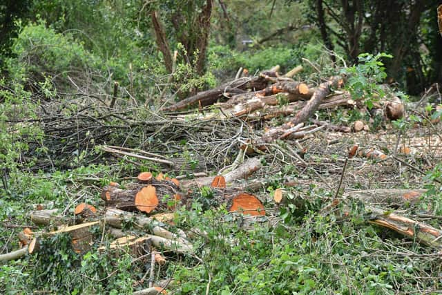 Wooded area at Gunthorpe Road, where trees have been felled