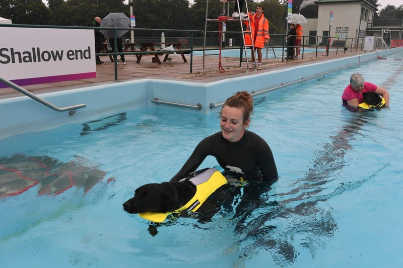 In the past, the Lido has hosted dogswims at the end of the season, to allow our four legged friends to have a dip