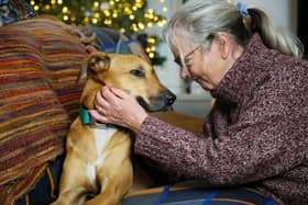 Sarah the lurcher spent 1,000 days at the Block Fen centre