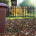 Brown bin charges are among those proposed to rise. Photo: Adobe.