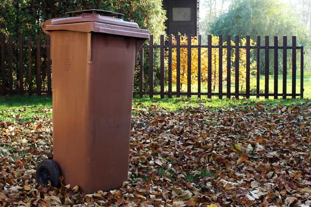 Brown bin charges are among those proposed to rise. Photo: Adobe.