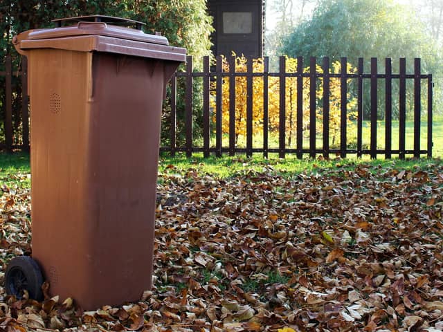 Brown bin charges are among those proposed to rise. Photo: Adobe.