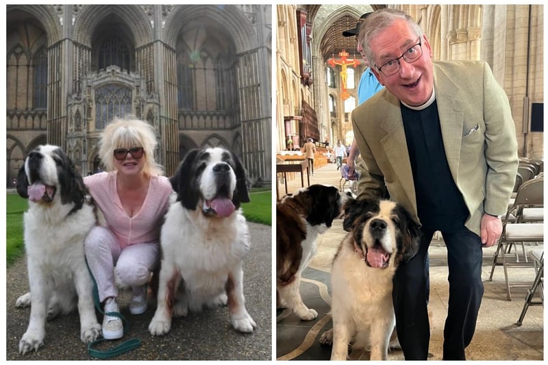 Saving Saints' trustee Tracey Turnbull and Vice Dean of Peterborough Cathedral Canon Tim Alban Jone giving lots of fuss to Winnie, Teddy and Basil.