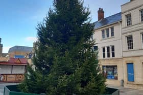 Peterborough's Christmas tree in Cathedral Square, before decorations added
